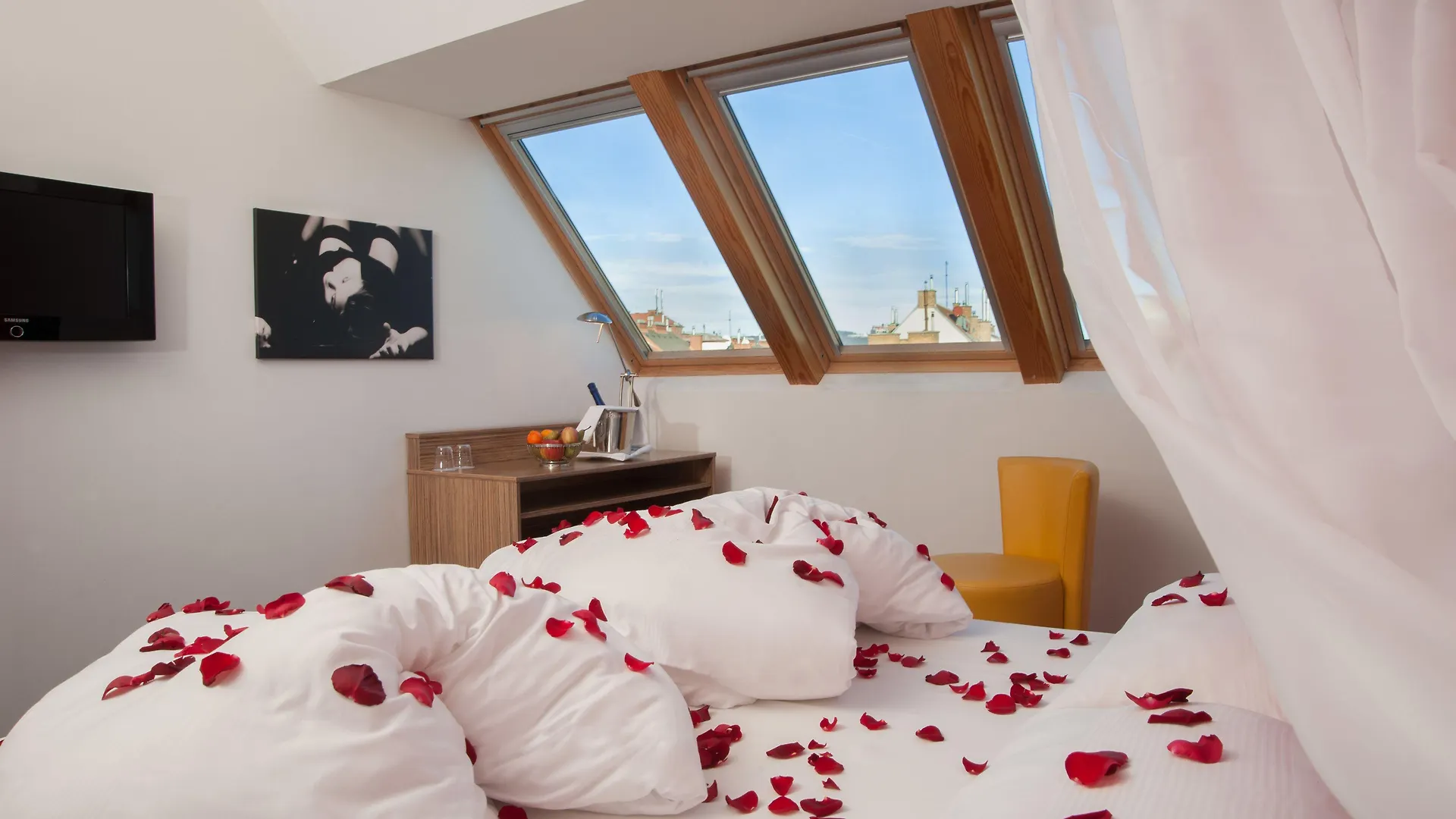 فندق سيناتور فيينا